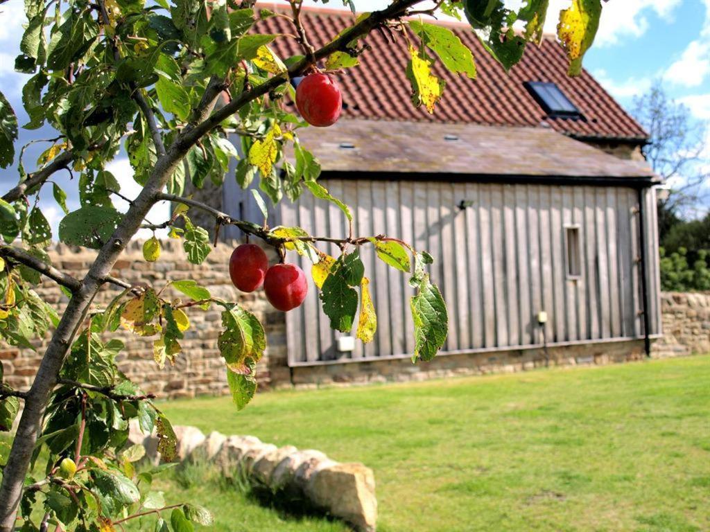 Plum Tree Cottage Witton le Wear Exterior foto